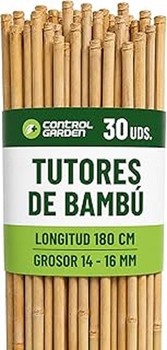 Comparativa de los mejores tutores modulares para aroides de interior