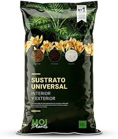 mezclas premium para plantas raras de interior