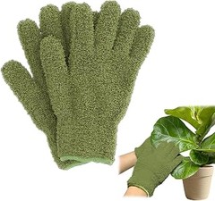 Errores al limpiar hojas de plantas y cómo solucionarlos
