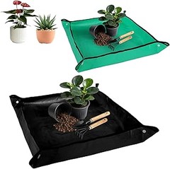 Errores frecuentes al utilizar protectores para esquejes y semilleros