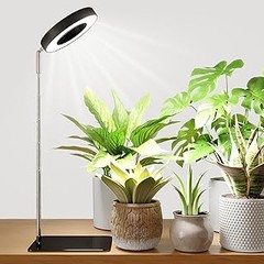 Problemas frecuentes al usar luces de cultivo en escritorios
