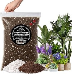 Errores frecuentes al usar mezclas premium para plantas raras de interior
