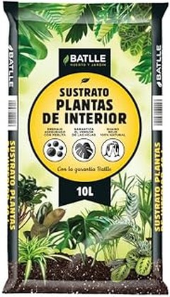Errores comunes al usar sustratos para plantas verdes de interior