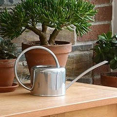 Soluciona los problemas más comunes con regaderas metálicas para plantas