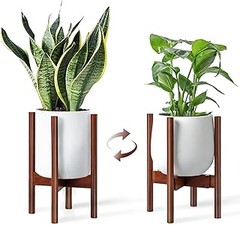 Solucionando problemas al usar soportes de madera para plantas de interior