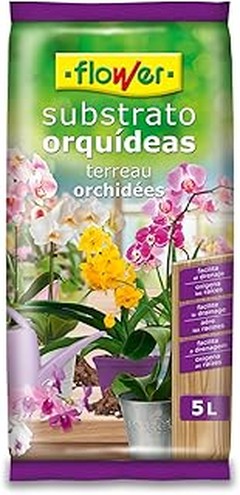 Errores Comunes en Sustratos para Plantas Tropicales y Cómo Solucionarlos