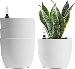 macetas con depósito de agua para interior