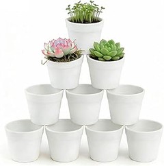 Problemas Frecuentes al Usar Cubremacetas para Cactus y Cómo Solucionarlos