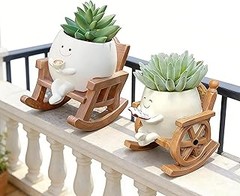 macetas decorativas para plantas de interior