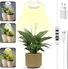 Beneficios de Usar Luces de Cultivo LED con Pinza para Tus Plantas de Interior