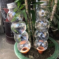 Pros y contras de usar globos de riego para tus plantas de interior