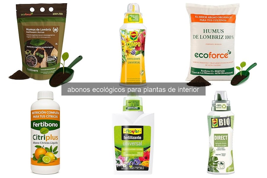 Abonos Ecológicos para Plantas de Interior: Beneficios y Compuestos
