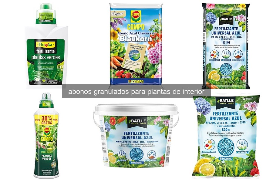 Abonos Granulados para Plantas de Interior: ¿Qué Son y Cómo Usarlos?