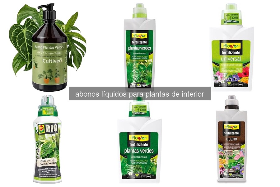 Abonos Líquidos para Plantas de Interior: Beneficios y Componentes
