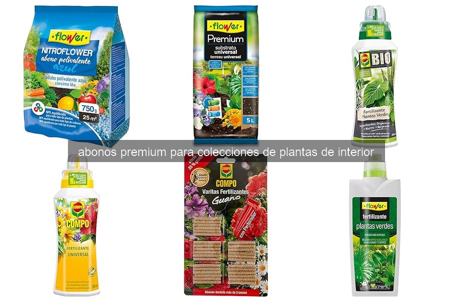 Abonos premium ideales para plantas de interior en 2026