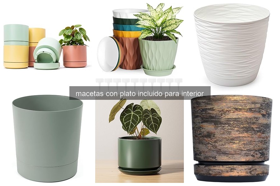 Beneficios de las macetas con plato incluido para interior