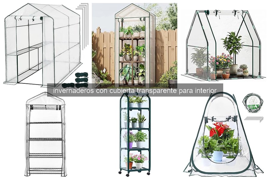 Beneficios de los invernaderos con cubierta transparente para interior