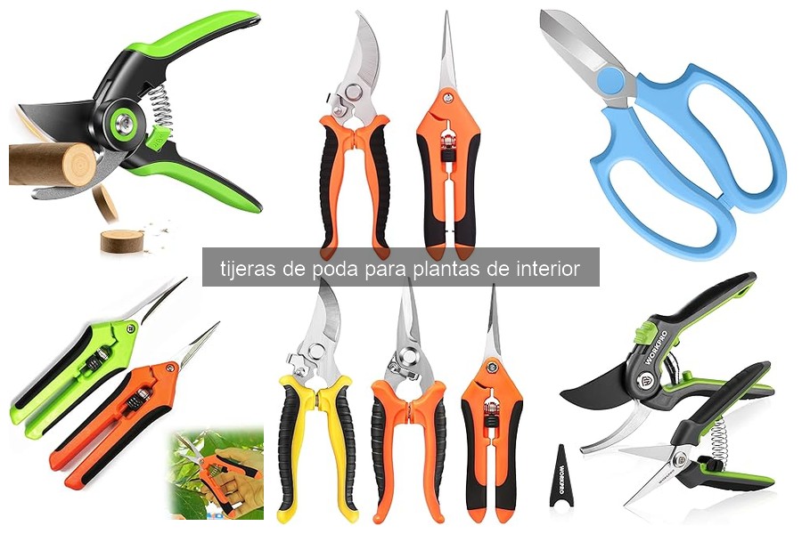 Características clave en tijeras de poda para plantas de interior
