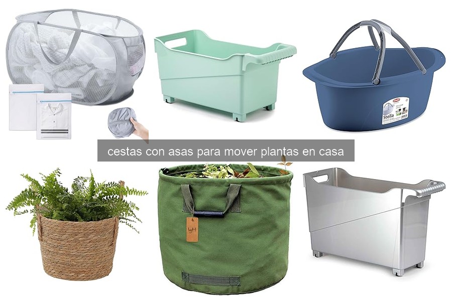 Cestas con Asas para Mover Plantas: Usos y Beneficios