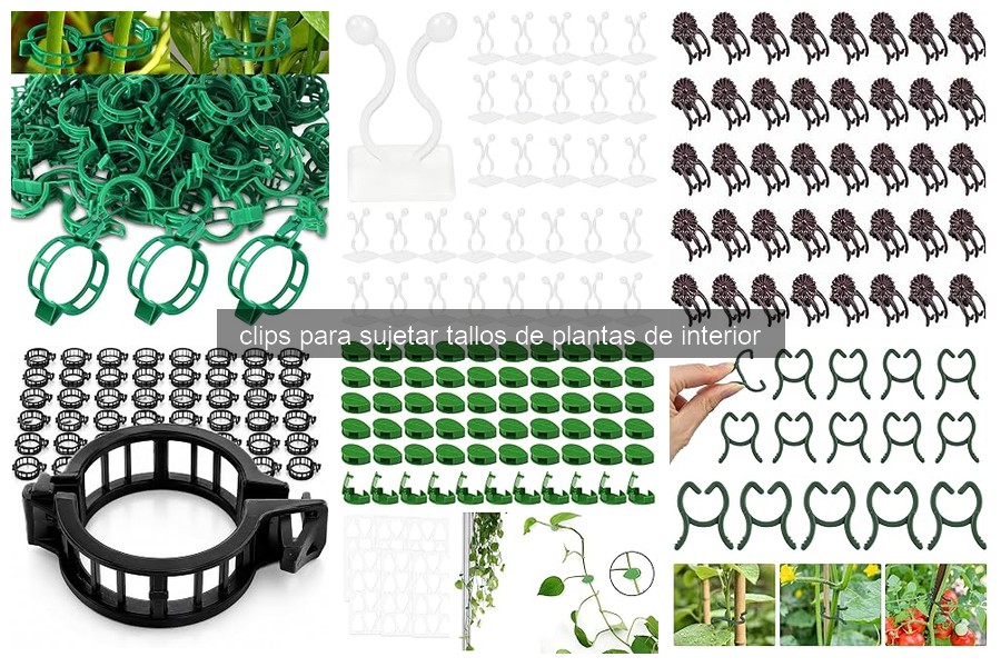 Clips para Sujetar Tallos de Plantas de Interior: ¿Qué Son?