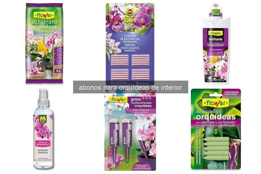 Cómo aplicar abono a orquídeas de interior correctamente