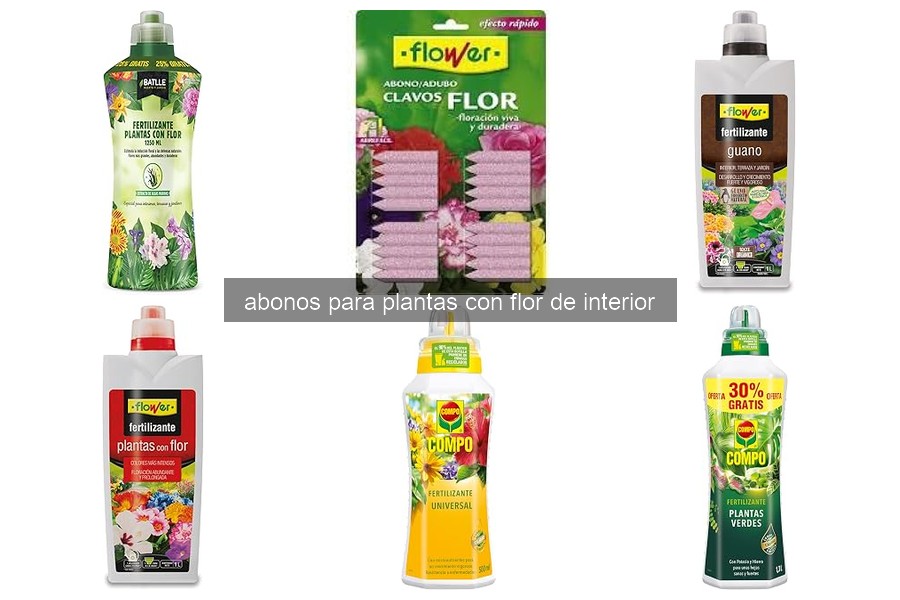 Cómo Aplicar Abono a Plantas con Flor de Interior