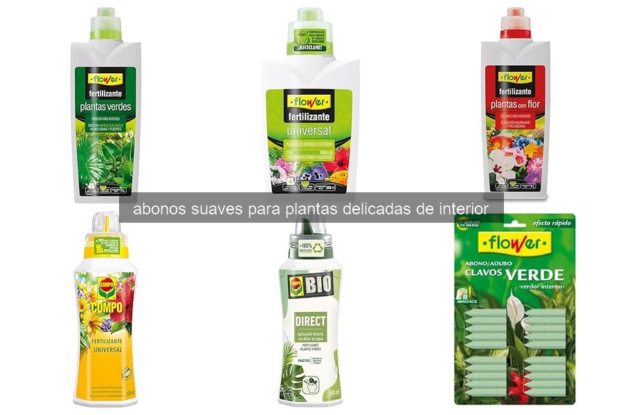 Cómo aplicar abono suave en plantas delicadas de interior