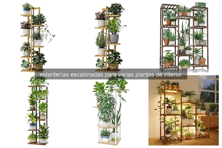 Cómo cuidar tu estantería escalonada para plantas de interior