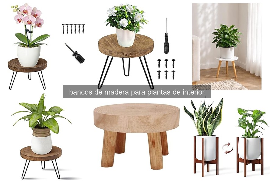 Cómo cuidar un banco de madera para plantas correctamente