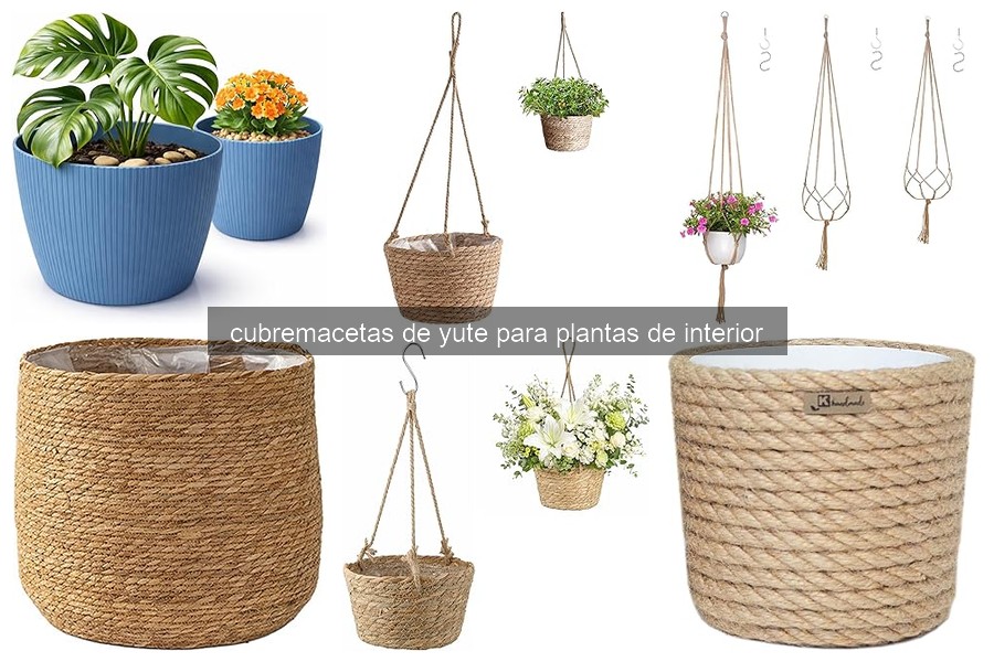 Cómo Elegir Cubremacetas de Yute para Plantas de Interior