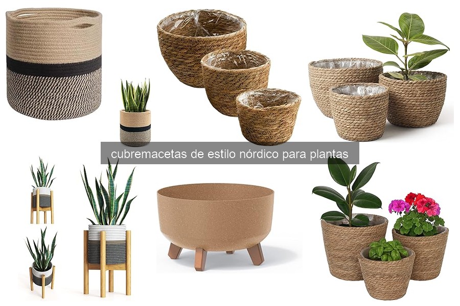 Cómo elegir el cubremacetas nórdico perfecto para tus plantas