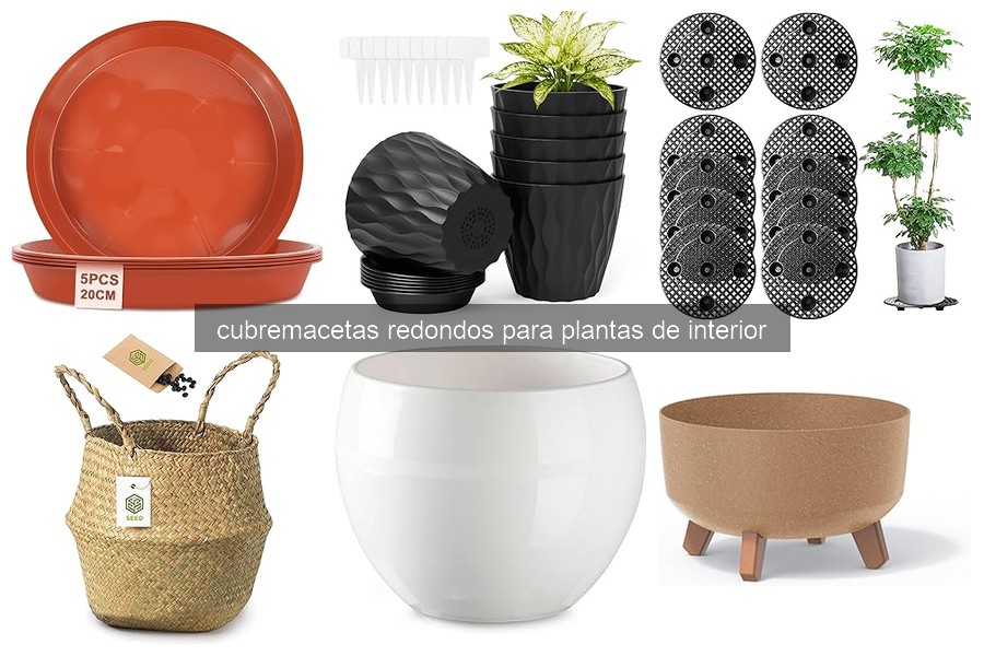 Cómo elegir el cubremacetas redondo ideal para tus plantas