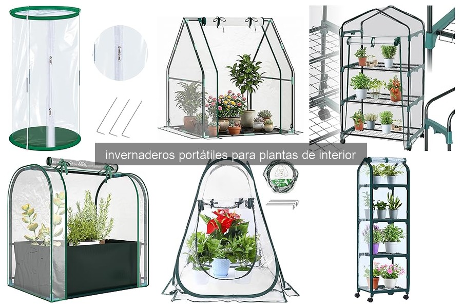 Cómo elegir el invernadero portátil adecuado para tus plantas