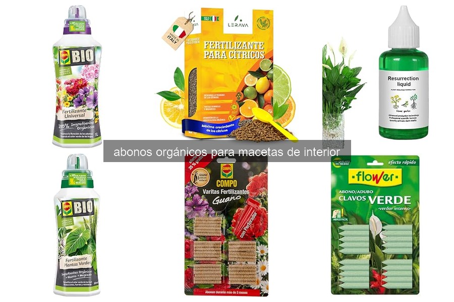 Cómo elegir el mejor abono orgánico para tus plantas de interior
