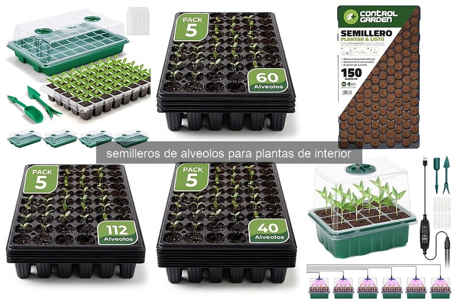 Cómo elegir el mejor semillero de alveolos para plantas de interior