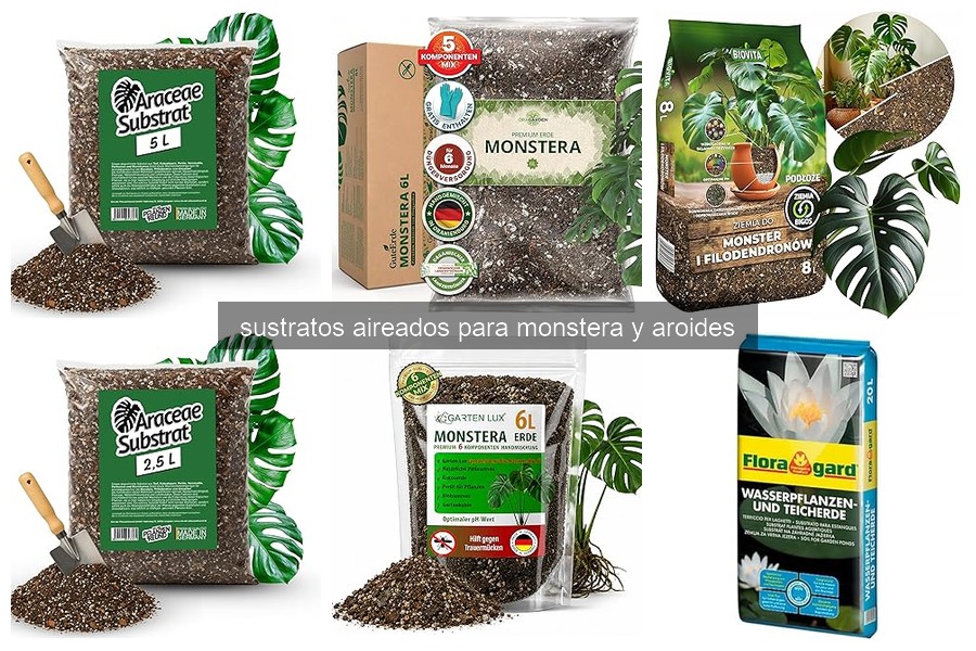 Cómo elegir el mejor sustrato aireado para Monstera