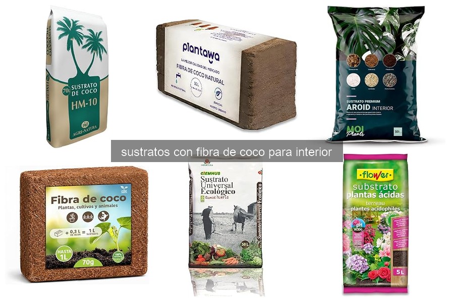 Cómo elegir el mejor sustrato de fibra de coco para plantas