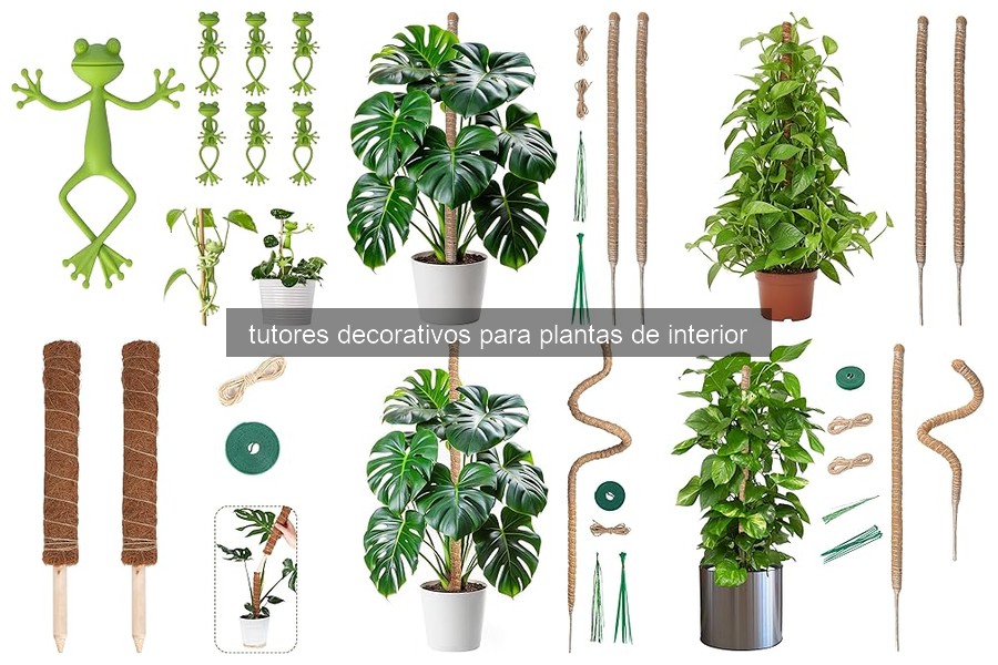 Cómo elegir el mejor tutor decorativo para plantas de interior