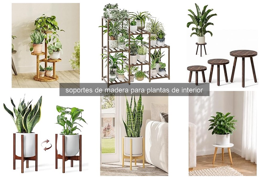 ¿Cómo elegir el soporte de madera ideal para tus plantas?