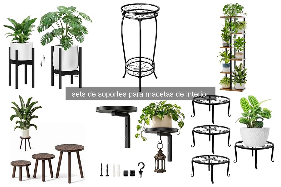 Cómo elegir el soporte ideal para macetas de interior
