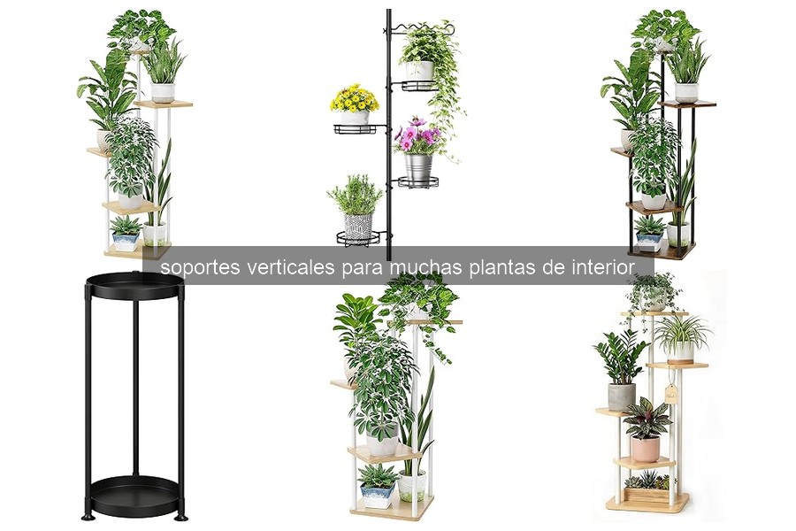 Cómo elegir el soporte vertical perfecto para tus plantas de interior