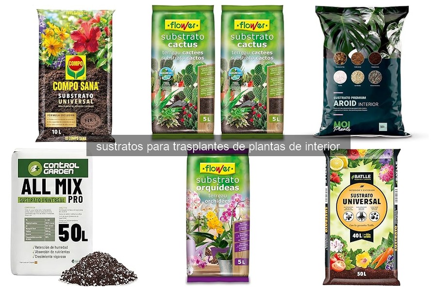 Cómo Elegir el Sustrato Perfecto para Trasplantes de Plantas