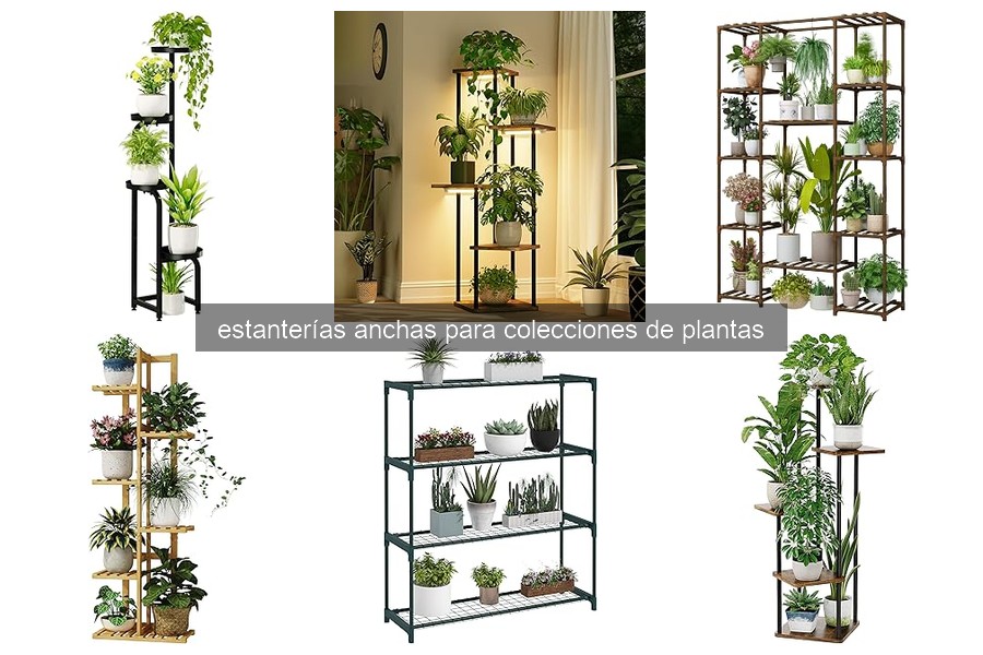 Cómo elegir la estantería ancha perfecta para tus plantas