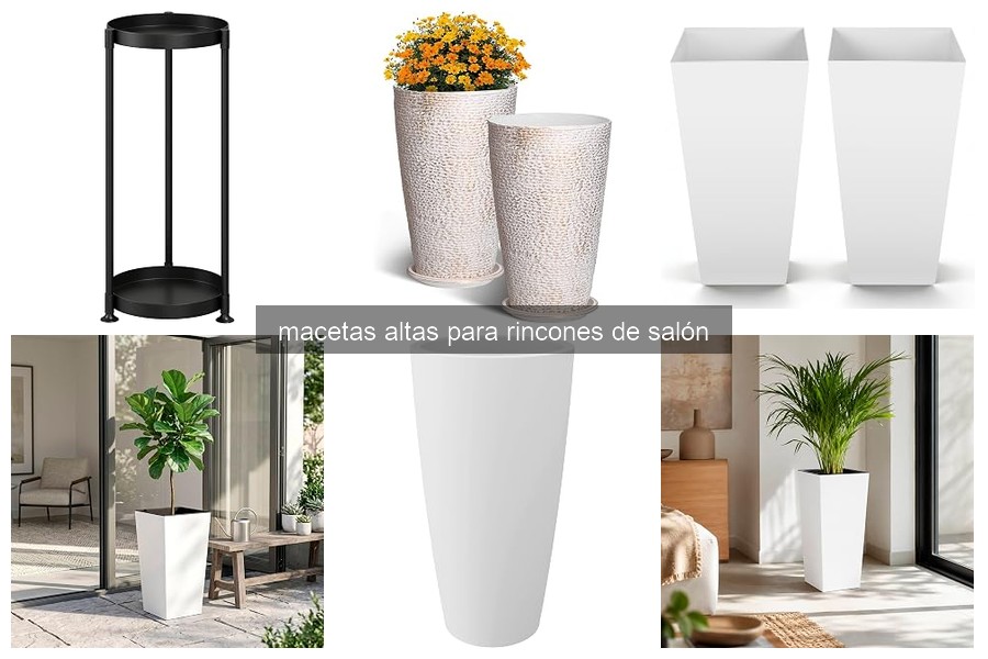 Cómo elegir la maceta alta ideal para tu salón