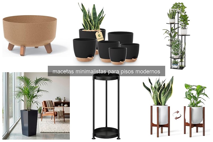 Cómo elegir la maceta minimalista perfecta para tu hogar