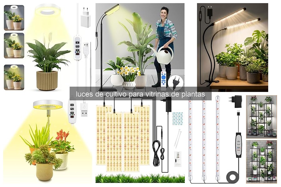 Cómo elegir la mejor luz de cultivo para vitrinas de plantas