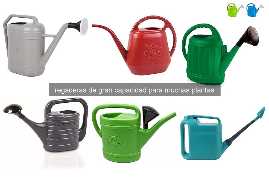 Cómo elegir la regadera de gran capacidad ideal para tus plantas