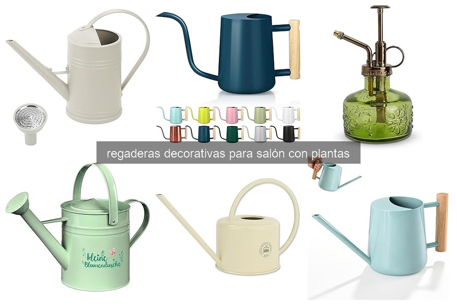Cómo elegir la regadera decorativa para tu salón