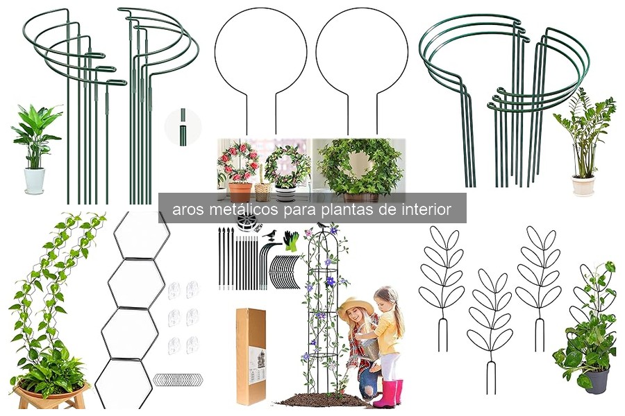 Cómo instalar correctamente un aro metálico para plantas
