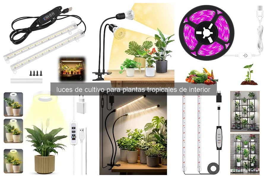 Cómo Instalar Luces de Cultivo para Plantas Tropicales